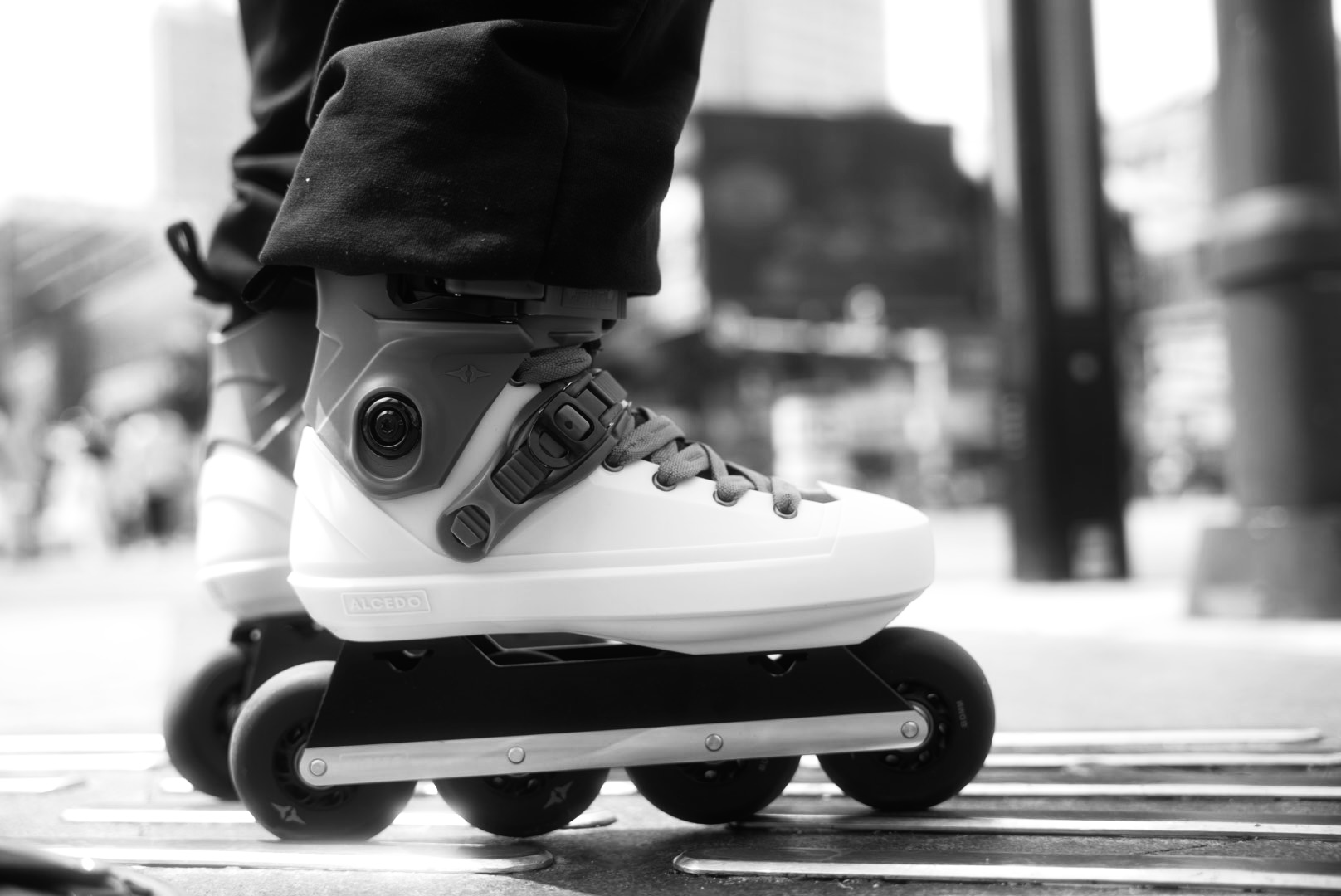 Alcedo Skate Official Website