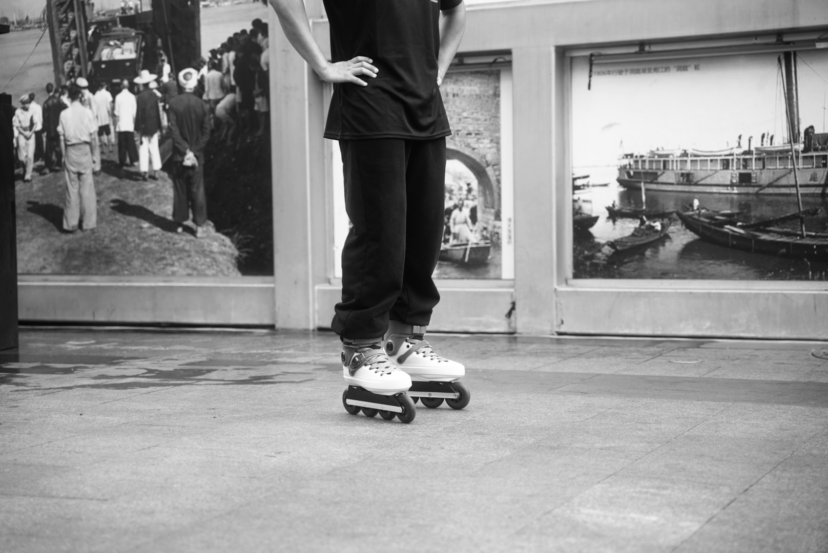 Alcedo Skate Official Website