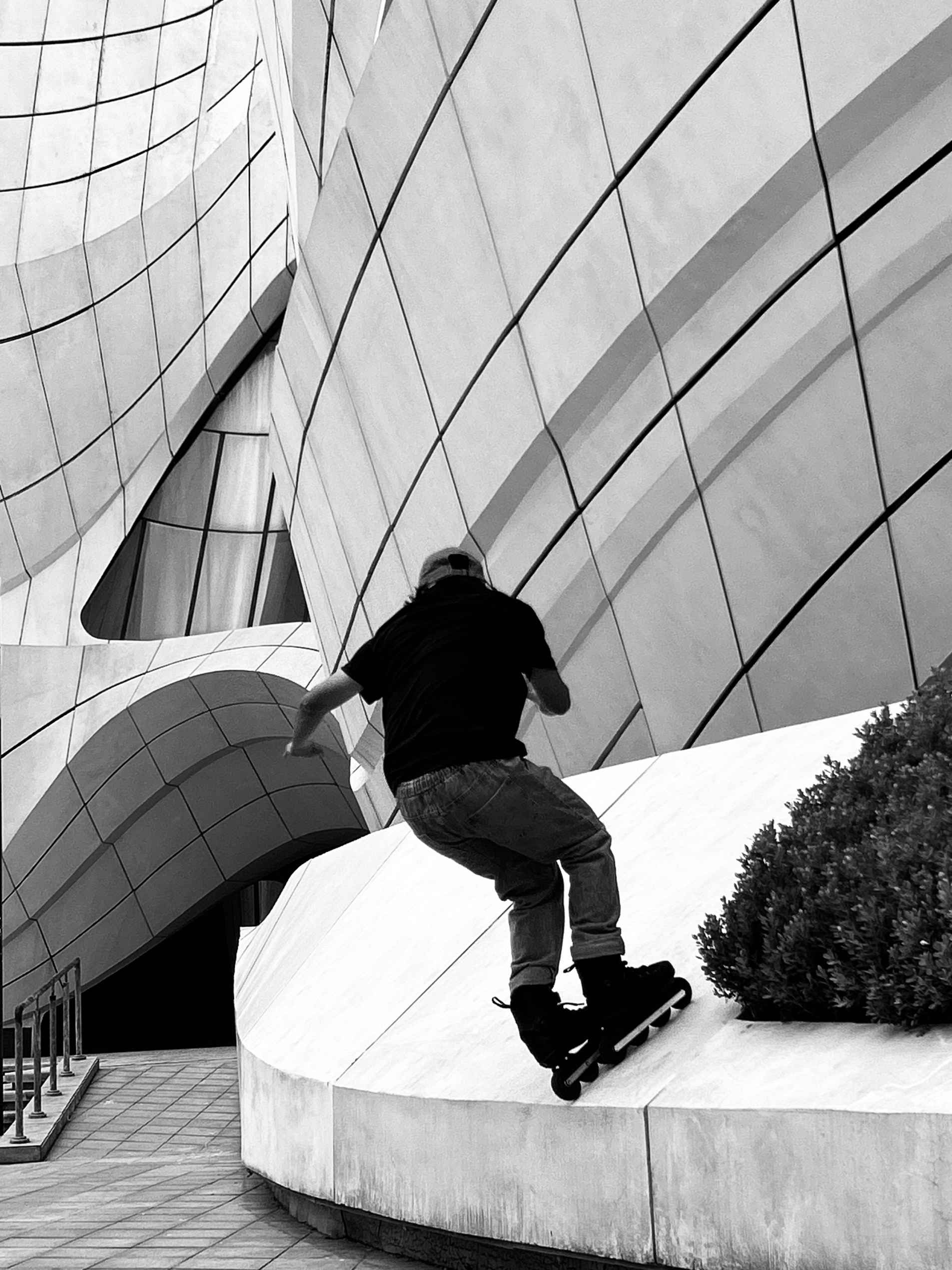 Alcedo Skate Official Website